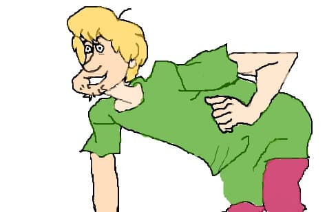 shaggy