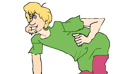 shaggy