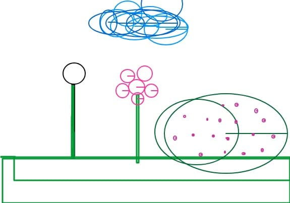 forme geometrice