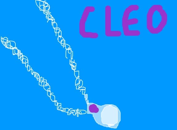 lanticul lui cleo