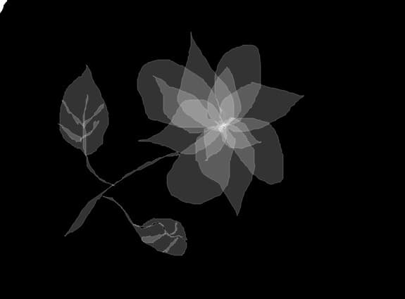 floare alba