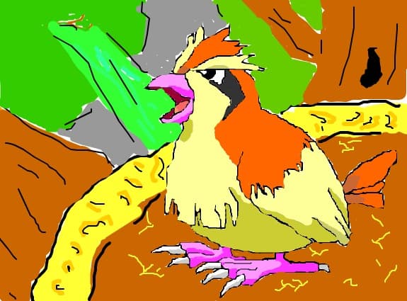 Pidgey the Birdy