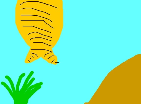 o coada de sirena