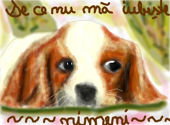 Un Catelus supy - Sad Dog