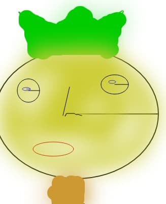 rege