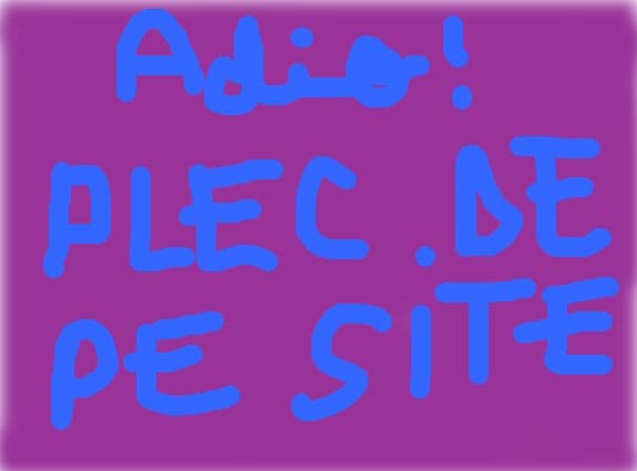 adio...plec de pe site