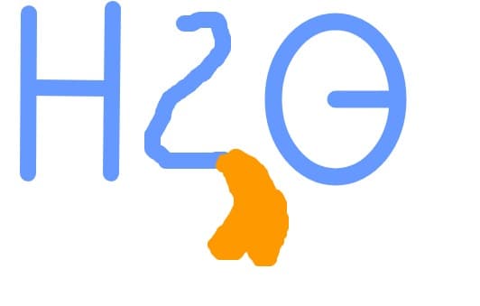 H2O