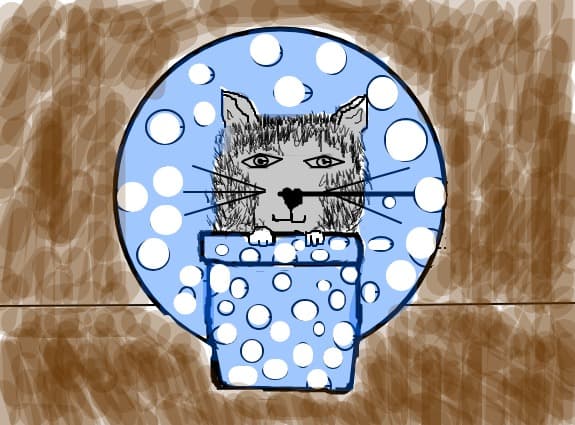 sweet draw