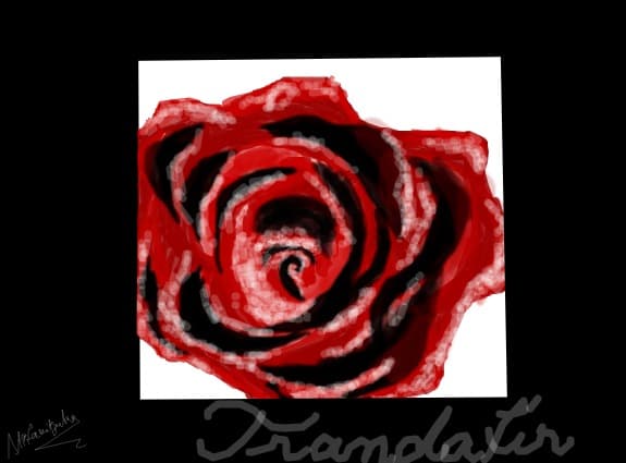 trandafir