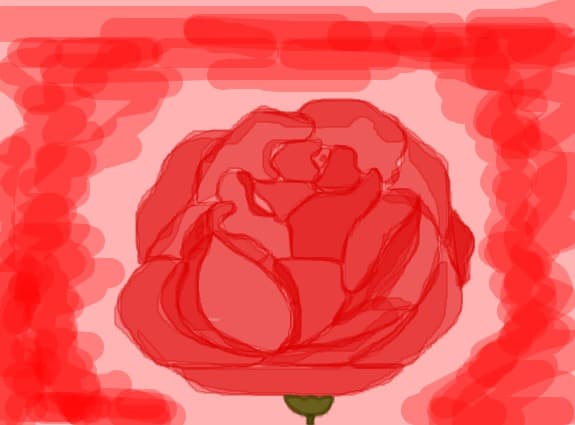 a rose for cimmaron