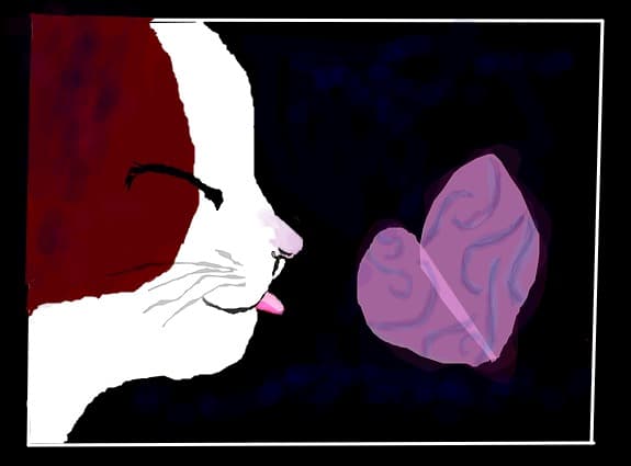 cat^_^