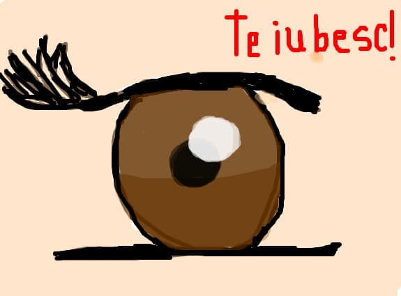 pisicutza*