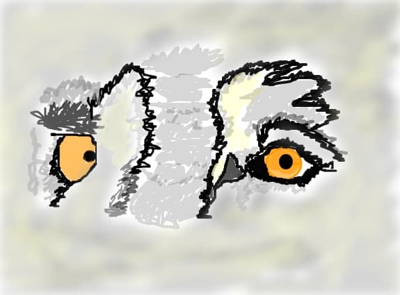 madyka