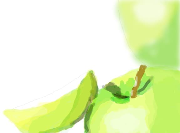 ionella12