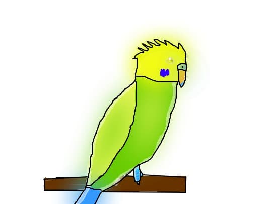 jiju