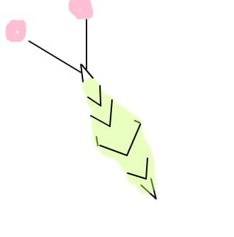 mihaelazap
