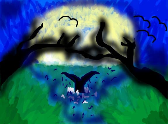 berni_star28