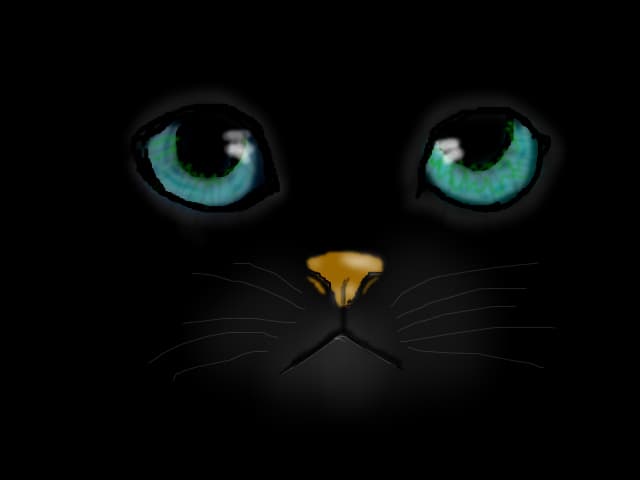 cats_club