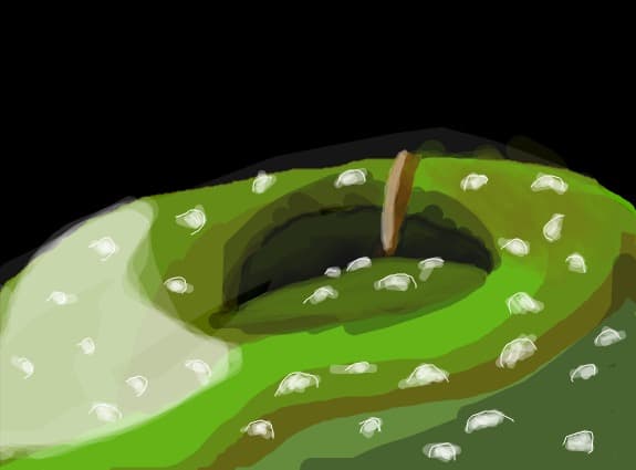 M.G.