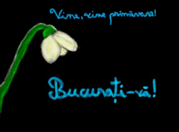 alice_camelia