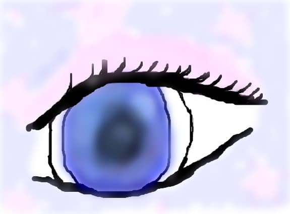 camy_chan