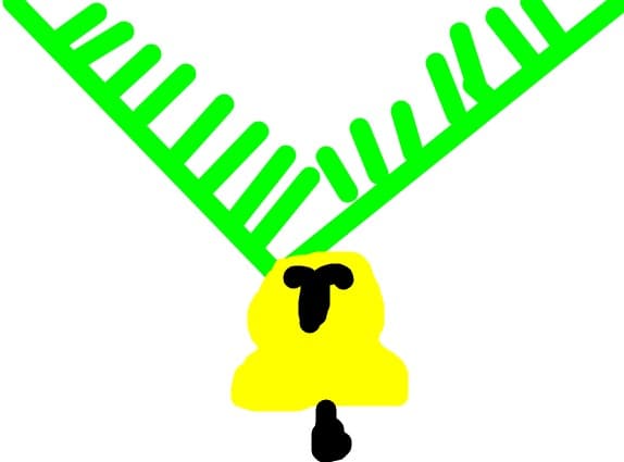 fanfaron