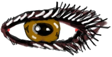 painocipi