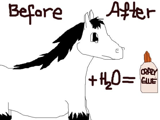 ahorse