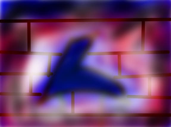 shakalul1