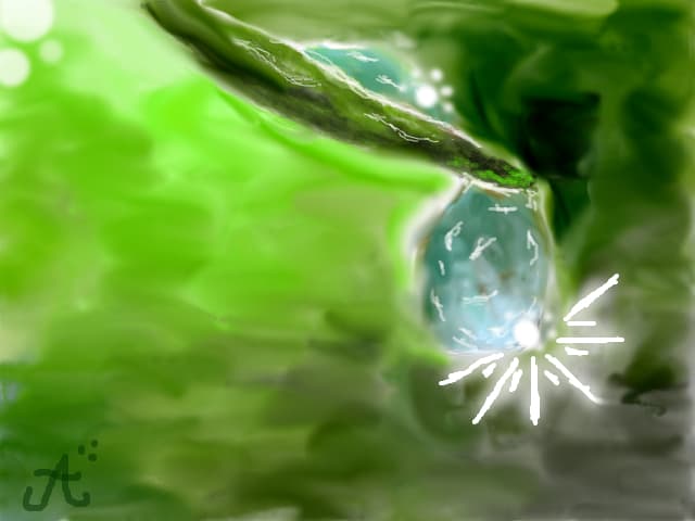 aDRy12