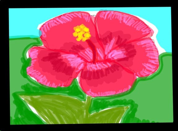 MariMary