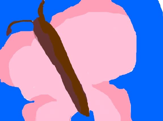 emaivan