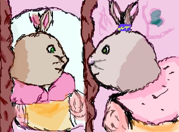 coco boco