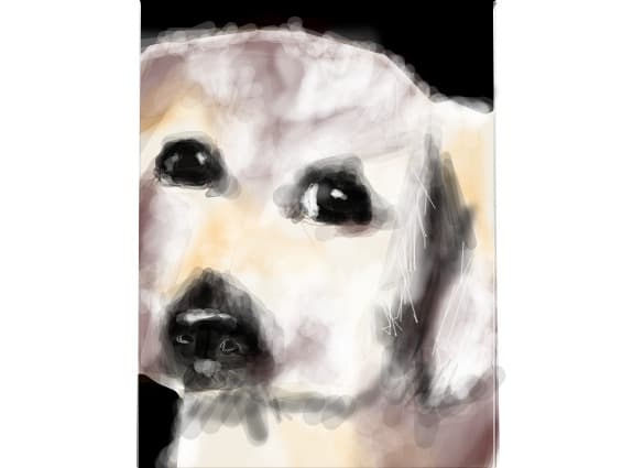 Stefy.stefy