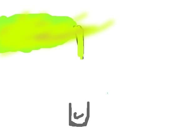 Puya12