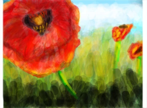 Rose :)