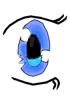 The eye 
