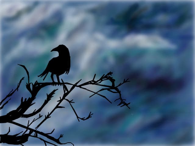 crows_in_the_rain