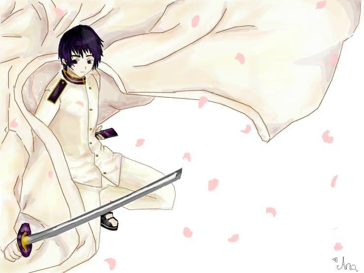 The cherry blossoms