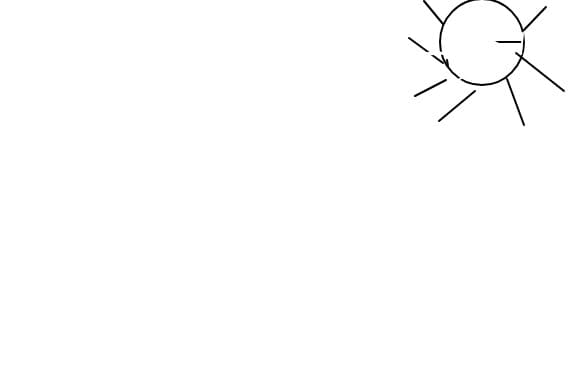 Susunica2