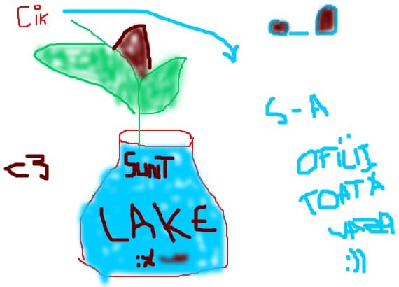 Lakestar. 
