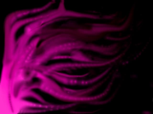 Anutzy_4ever