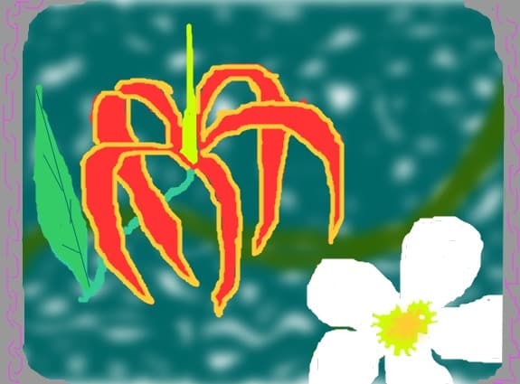 miracles.do.happen
