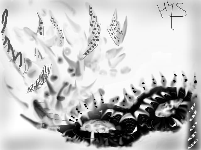 HistErY@13