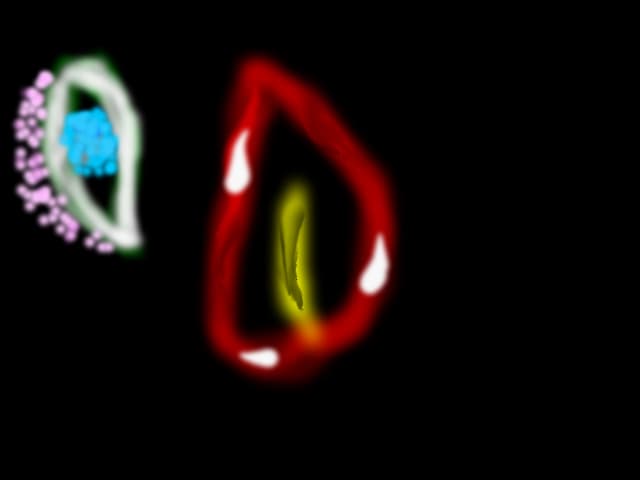 BloodFlower