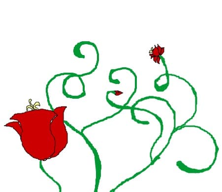 ~Red Rose~