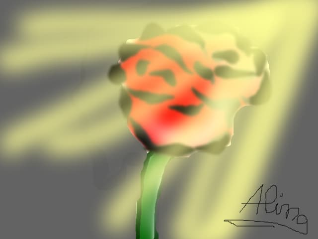 Aliiina