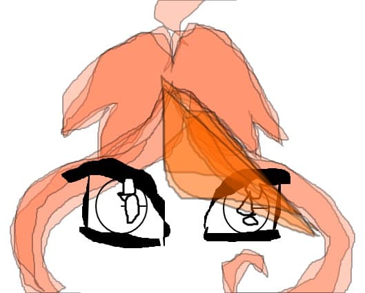 Aurafelicia
