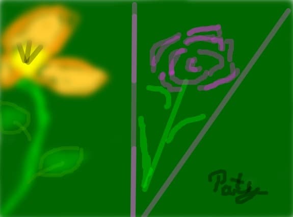 Paty200012