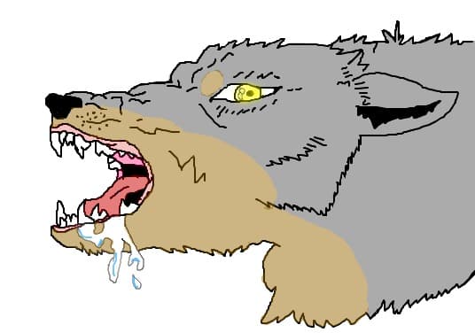 Kiba39